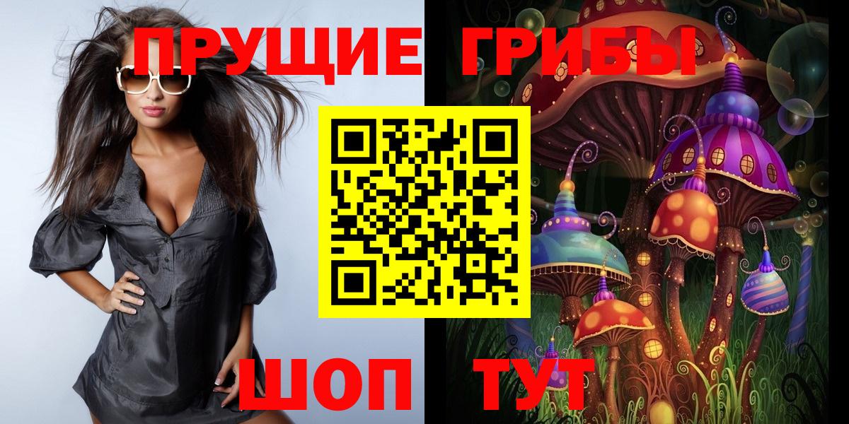 Псилоцибиновые грибы прущие грибы Фролово