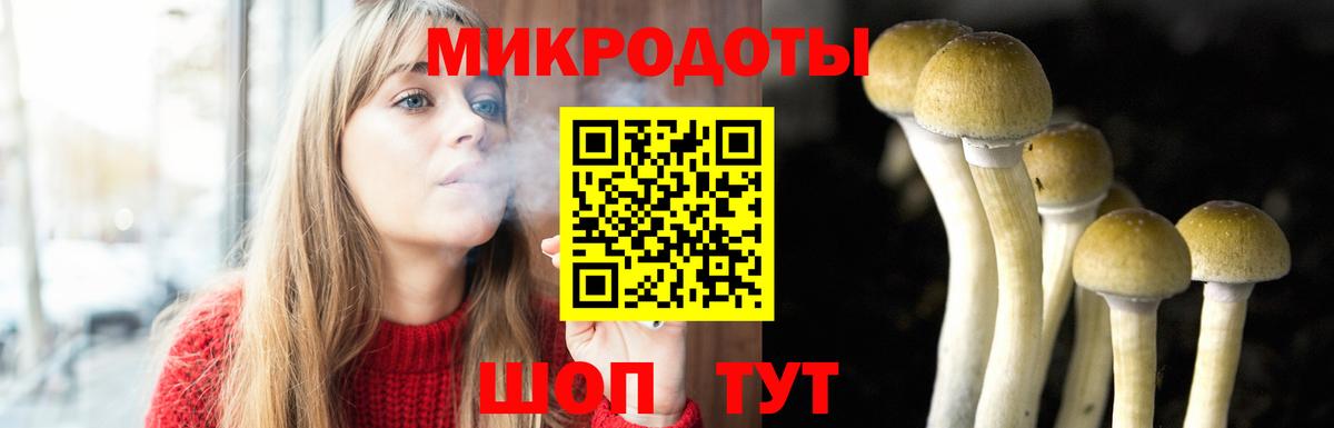 Галлюциногенные грибы Psilocybine cubensis  Псилоцибиновые грибы MAGIC MUSHROOMS  Фролово  Вход с VPN 