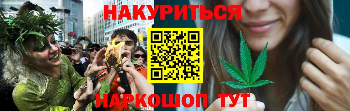 Конопля сатива Фролово